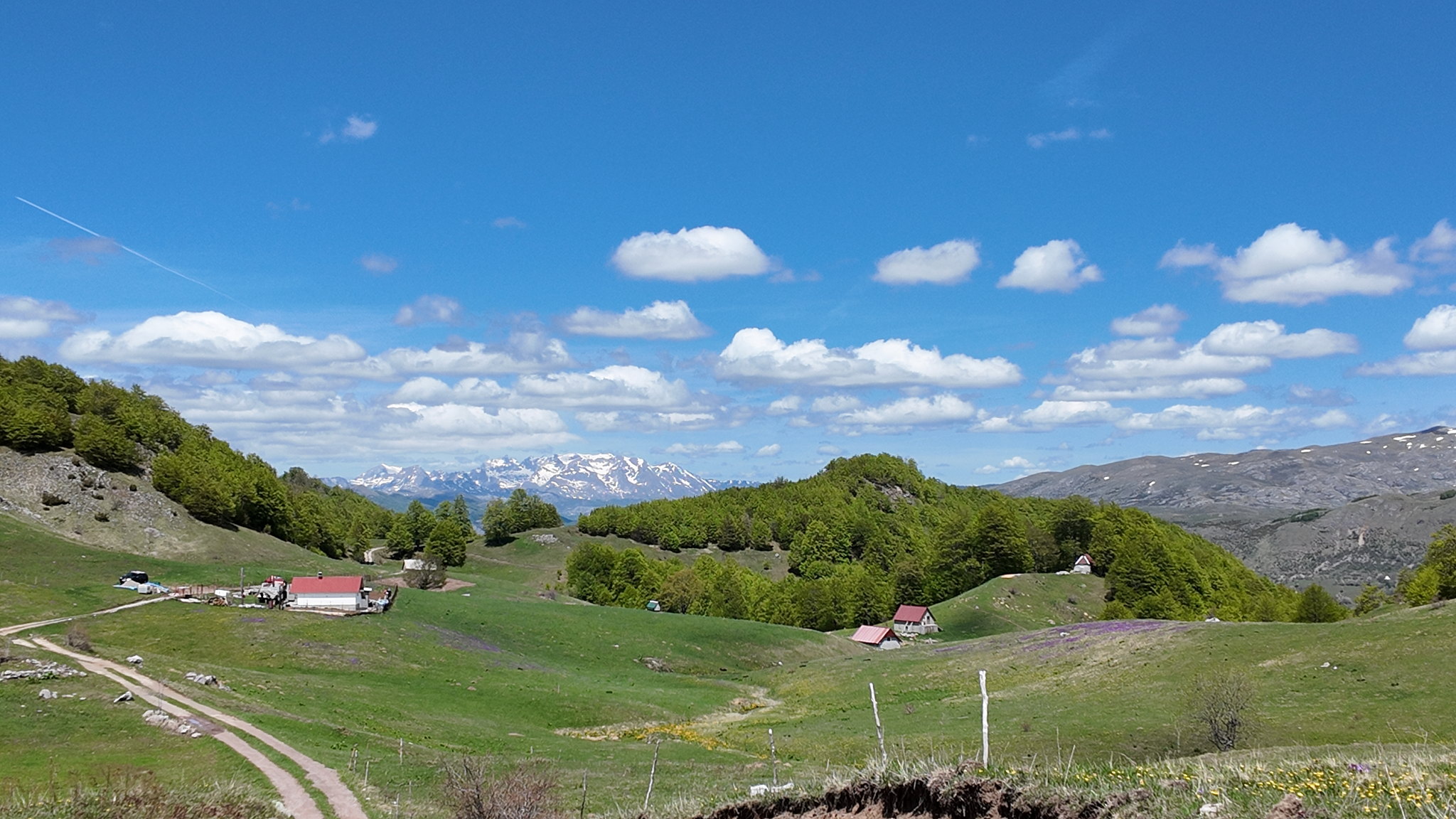 Highland pasture in northern Montenegro, mountain huts on the meadow and the snow-covered Durmitor range behind
